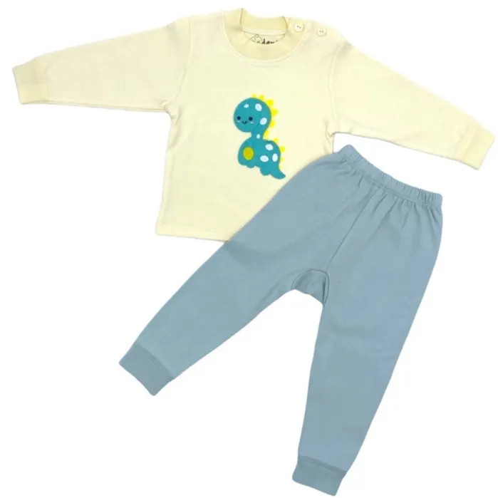 Trendy Valley Organic Cotton Baby & Kids Pyjamas SleepWear Pajamas Long Sleeve & Long Pants - Dino Ziion