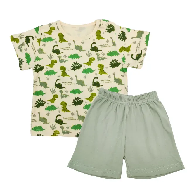 Trendy Valley Organic Cotton Baby & Kids Outing Wear - Green Dino